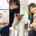 専門学校ビジョナリーアーツ ワンコの3専攻よくばり体験