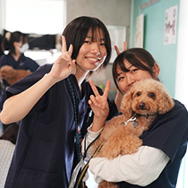 専門学校ビジョナリーアーツ 学校まるごと見学ツアー (ペット学科/動物看護学科)1