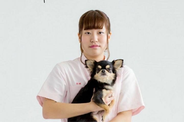 サブ画像