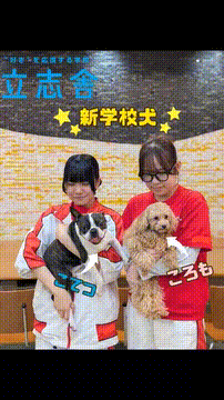 OCカメラサムネイル画像