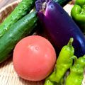テクノ・ホルティ園芸専門学校 野菜づくり実習★採れたてを体感！夏野菜の収穫にチャレンジ