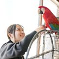 専門学校ビジョナリーアーツ Vaふれあい動物園