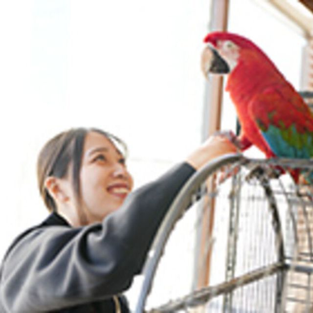 専門学校ビジョナリーアーツ Vaふれあい動物園1