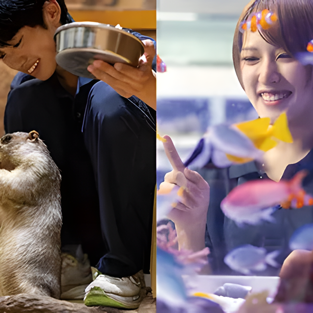専門学校　福岡ビジョナリーアーツ 【ペット】よくばりお仕事体験♪動物園飼育員×水族館飼育員1