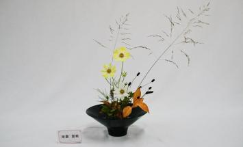 奈良きもの芸術専門学校のブログインフォ一覧 5 スタディサプリ 進路 奈良きもの芸術専門学校のブログインフォ一覧 5 スタディサプリ 進路