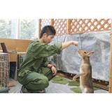 詳細を見る