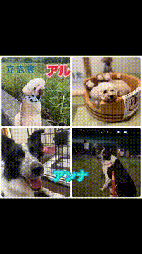 OCカメラサムネイル画像