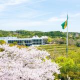 【3/28(土) 日進会場】春休みのオープンキャンパスの詳細