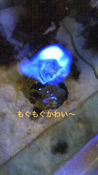 OCカメラサムネイル画像