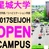 詳細を見る