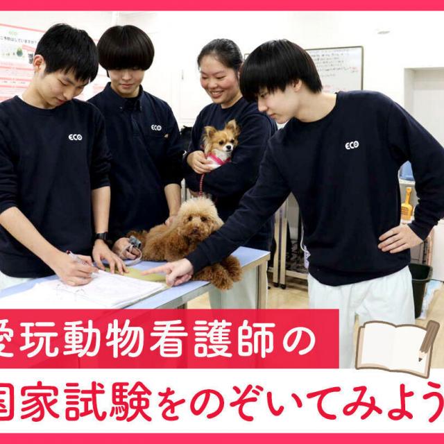 ＴＣＡ東京ＥＣＯ動物海洋専門学校 愛玩動物看護師の国家試験をのぞいてみよう！1