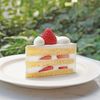 専門学校ビジョナリーアーツ フルーツショートケーキ（takeout）