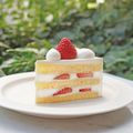 フルーツショートケーキ（takeout）／専門学校ビジョナリーアーツ