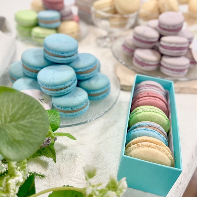 横浜スイーツ＆カフェ専門学校 スペシャルフェア！マカロン３種盛り★初心者大歓迎★1