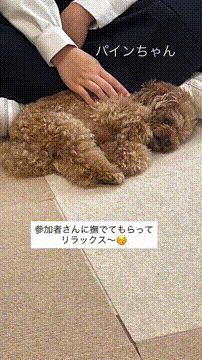 OCカメラサムネイル画像