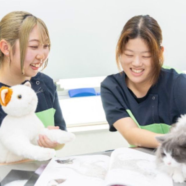 国際ペット総合専門学校 ペット総合「猫額」グルーミングだにゃ～爪切り、耳掃除など体験4