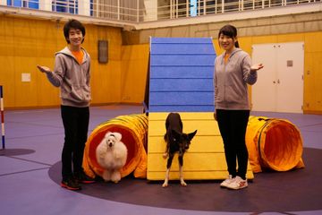 動物 植物を目指せる学校一覧 253校 スタディサプリ 進路