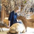 専門学校　福岡ビジョナリーアーツ 【ペット】Vaふれあい動物園