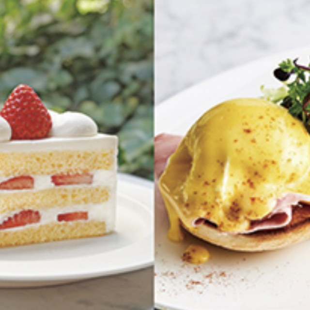 専門学校ビジョナリーアーツ 【よくばり体験】ショートケーキ＆エッグベネディクト1