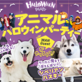福岡ＥＣＯ動物海洋専門学校 アニマルハロウィンパーティー