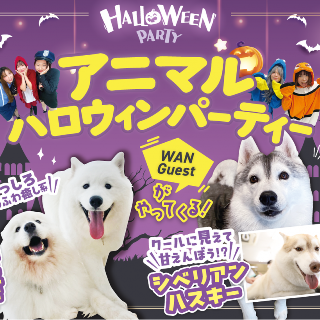 福岡ＥＣＯ動物海洋専門学校 アニマルハロウィンパーティー1