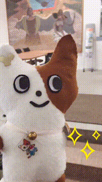 OCカメラサムネイル画像