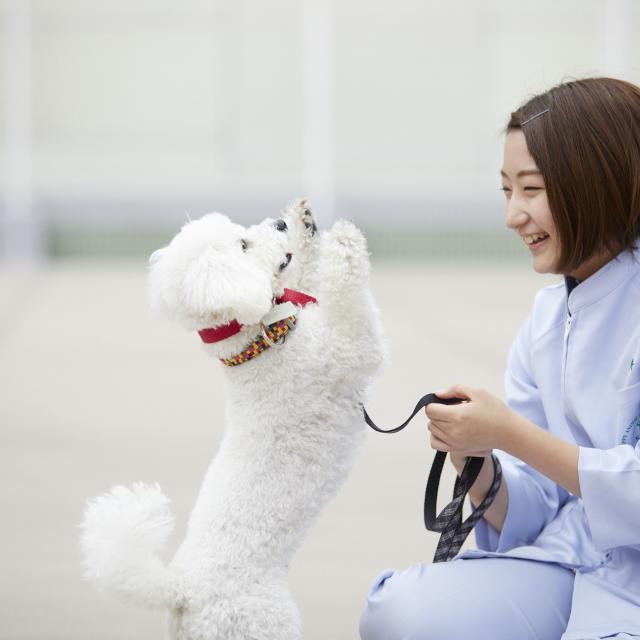大阪ペピイ動物看護専門学校 8月イベント診察中の動物の抱え方を学ぼう!(1.2年生向け)1