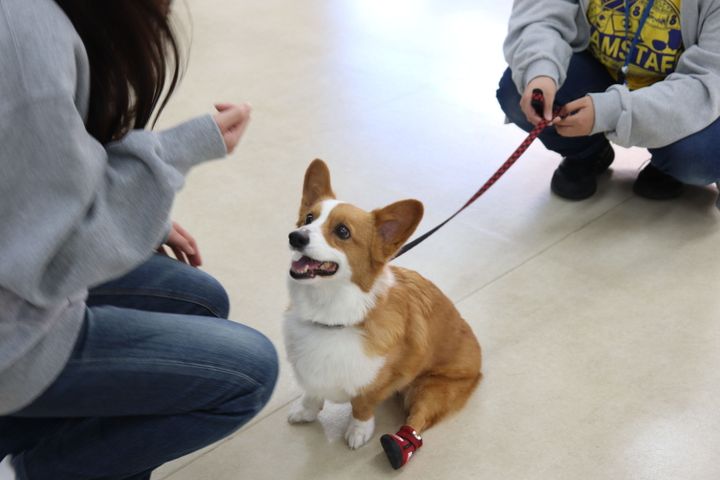 サブ画像