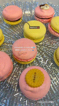 OCカメラサムネイル画像