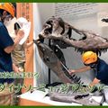 在校生とまわるダイナソーミュージアムツアー！／ＴＣＡ東京ＥＣＯ動物海洋専門学校
