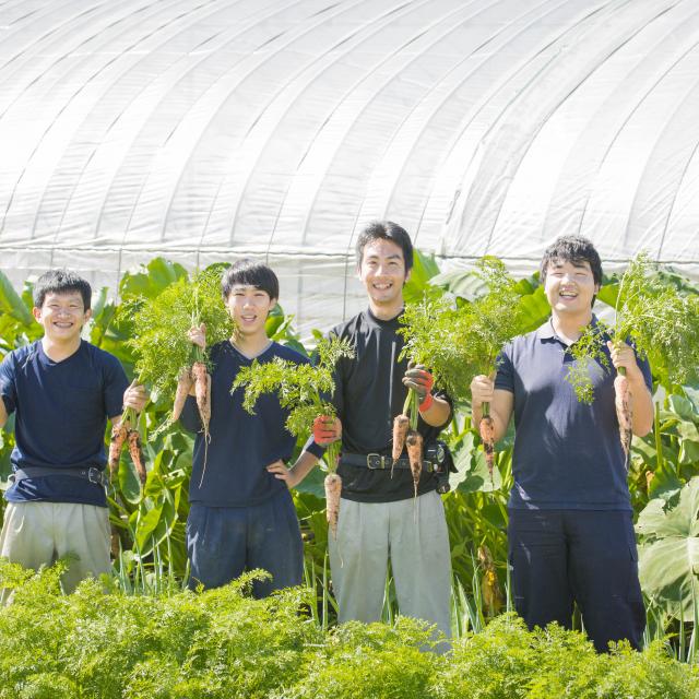 テクノ・ホルティ園芸専門学校 12月の体験入学★野菜づくり実習★1