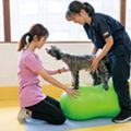 専門学校ビジョナリーアーツ ワンコと一緒に理学療法を知ろう！