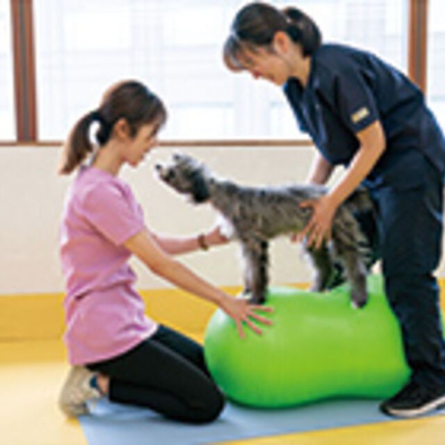専門学校ビジョナリーアーツ ワンコと一緒に理学療法を知ろう！1