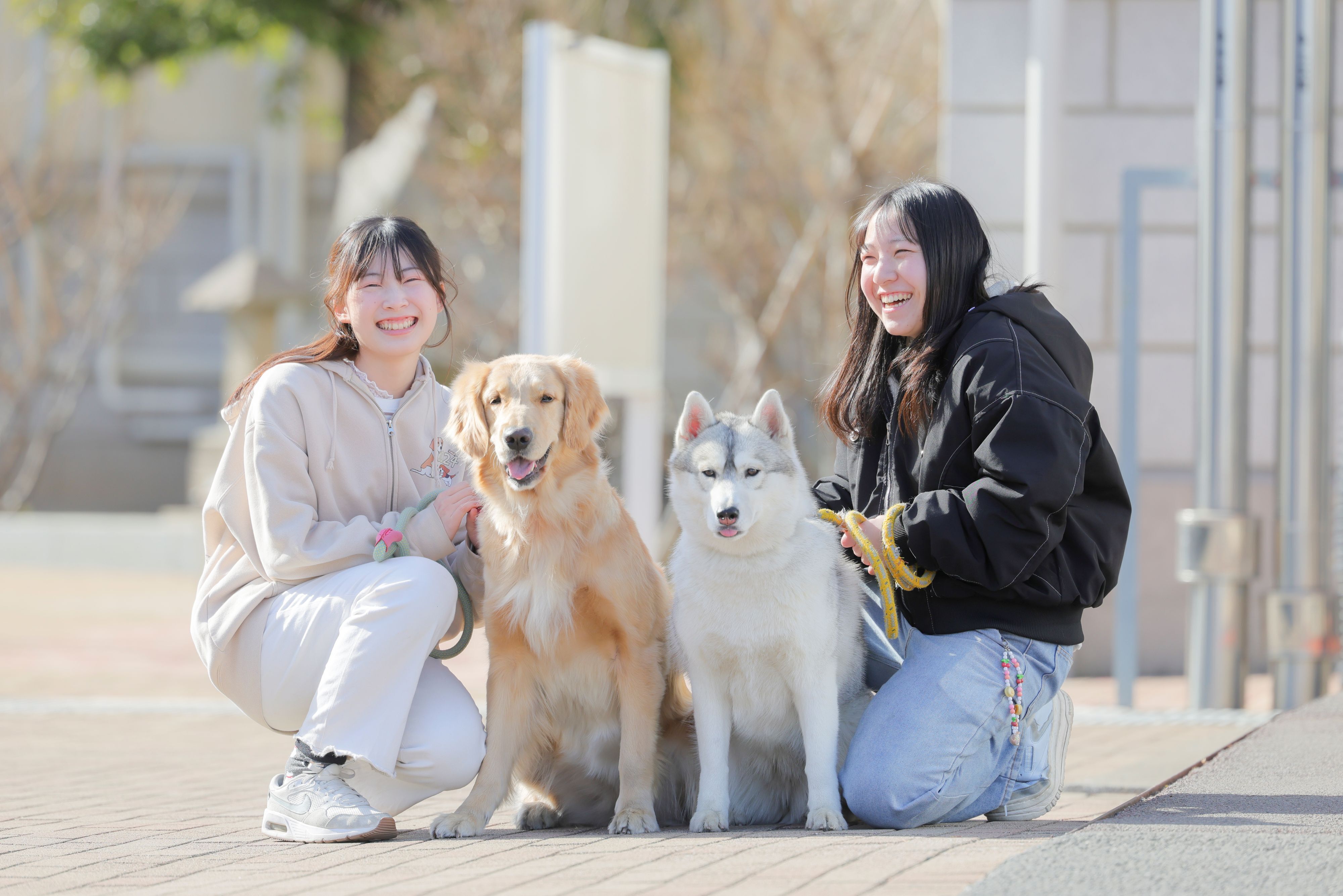 日本獣医生命科学大学 | 資料請求・願書請求・偏差値情報【スタディ