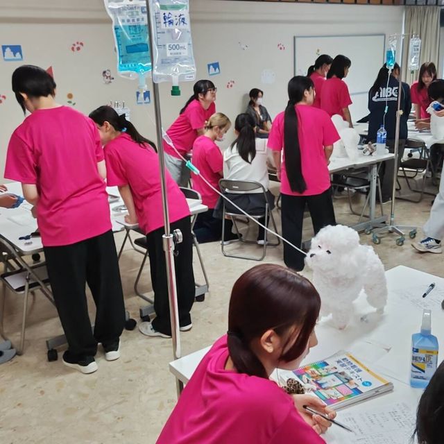 秋田情報ビジネス専門学校 【愛玩動物看護科】愛玩動物看護師のお仕事体験1