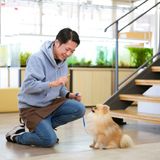 【ドッグトレーナー】ハウストレーニングをしてみよう！の詳細