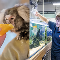 専門学校　福岡ビジョナリーアーツ 【ペット】動物園×水族館 よくばり飼育員さん体験