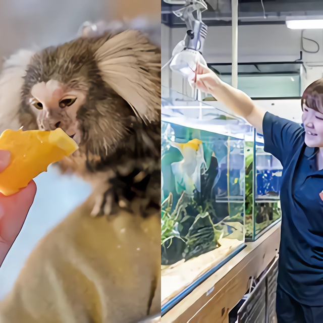 専門学校　福岡ビジョナリーアーツ 【ペット】動物園×水族館 よくばり飼育員さん体験1
