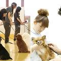 【ペット】【看護】お仕事体験 動物看護師×ドッグトレーナー／専門学校　福岡ビジョナリーアーツ