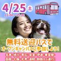 吉田学園動物看護専門学校 無料送迎バス運行！どうぶつリハビリ体験！