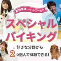 ＴＣＡ東京ＥＣＯ動物海洋専門学校 【11月23日】ペット・看護分野スペシャルバイキング