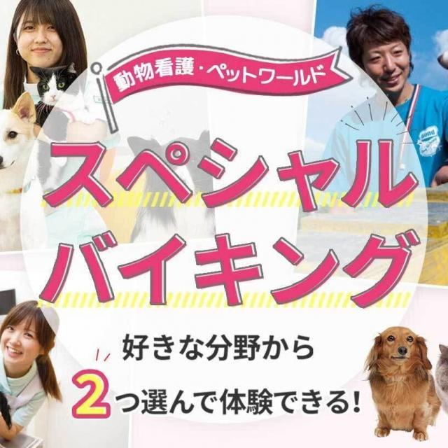 ＴＣＡ東京ＥＣＯ動物海洋専門学校 【11月23日】ペット・看護分野スペシャルバイキング1