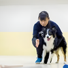 専門学校　福岡ビジョナリーアーツ 【ペット】警察犬訓練士のお仕事体験