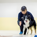 専門学校　福岡ビジョナリーアーツ 【ペット】警察犬訓練士のお仕事体験