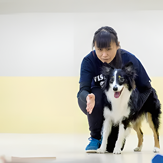 専門学校　福岡ビジョナリーアーツ 【ペット】警察犬訓練士のお仕事体験1