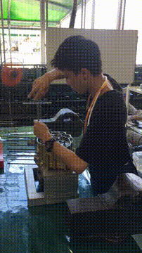 OCカメラサムネイル画像