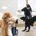 専門学校　福岡ビジョナリーアーツ 【ペット】トリマー×ドッグトレーナー