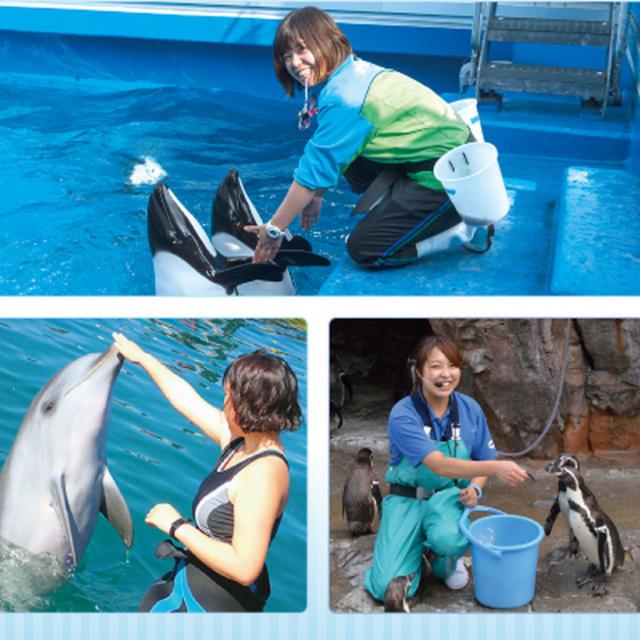 名古屋ECO動物海洋専門学校 【ドルフィントレーナー】海洋系希望者必見!1