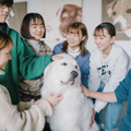 動物看護・トリマー・しつけ！3つのコースぜんぶ体験！／群馬動物専門学校