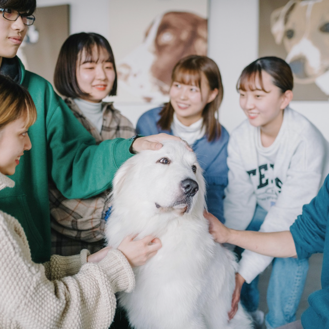 群馬動物専門学校 動物看護・トリマー・しつけ！3つのコースぜんぶ体験！1